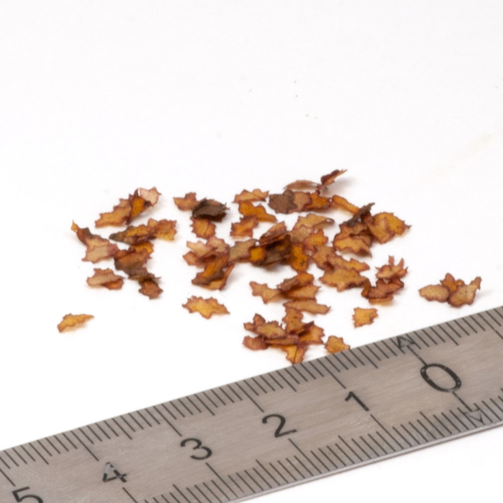 S045MWP Листья дубовые коричневые,  0,4гр (около 550 шт.)