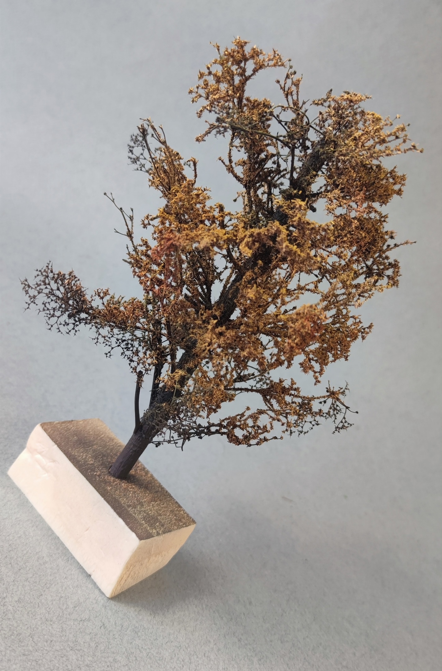 НЕ-35071 Дерево осень