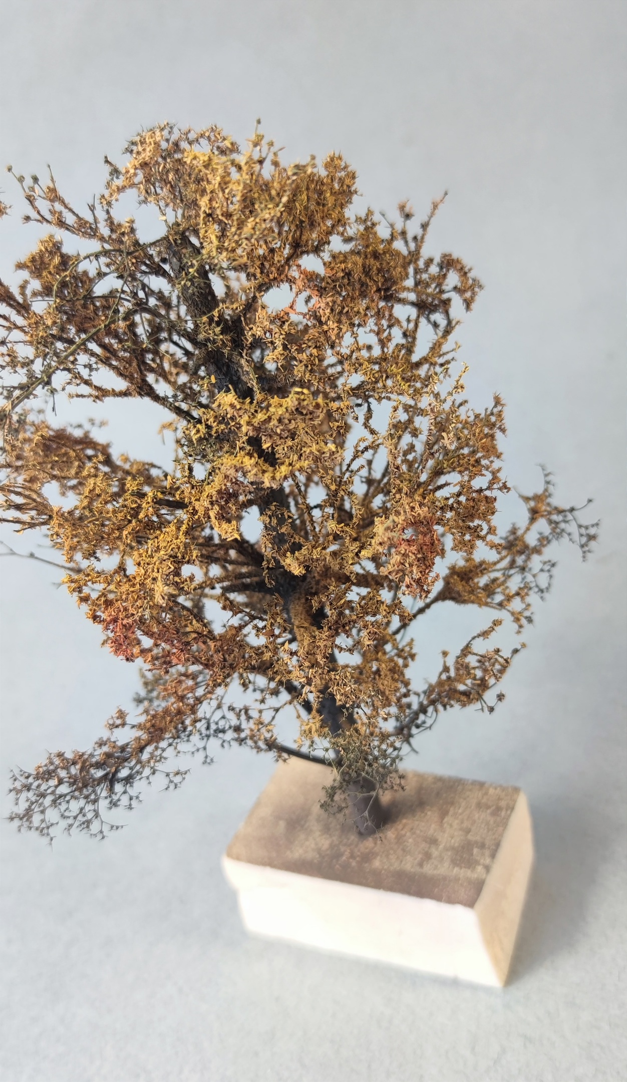 НЕ-35071 Дерево осень