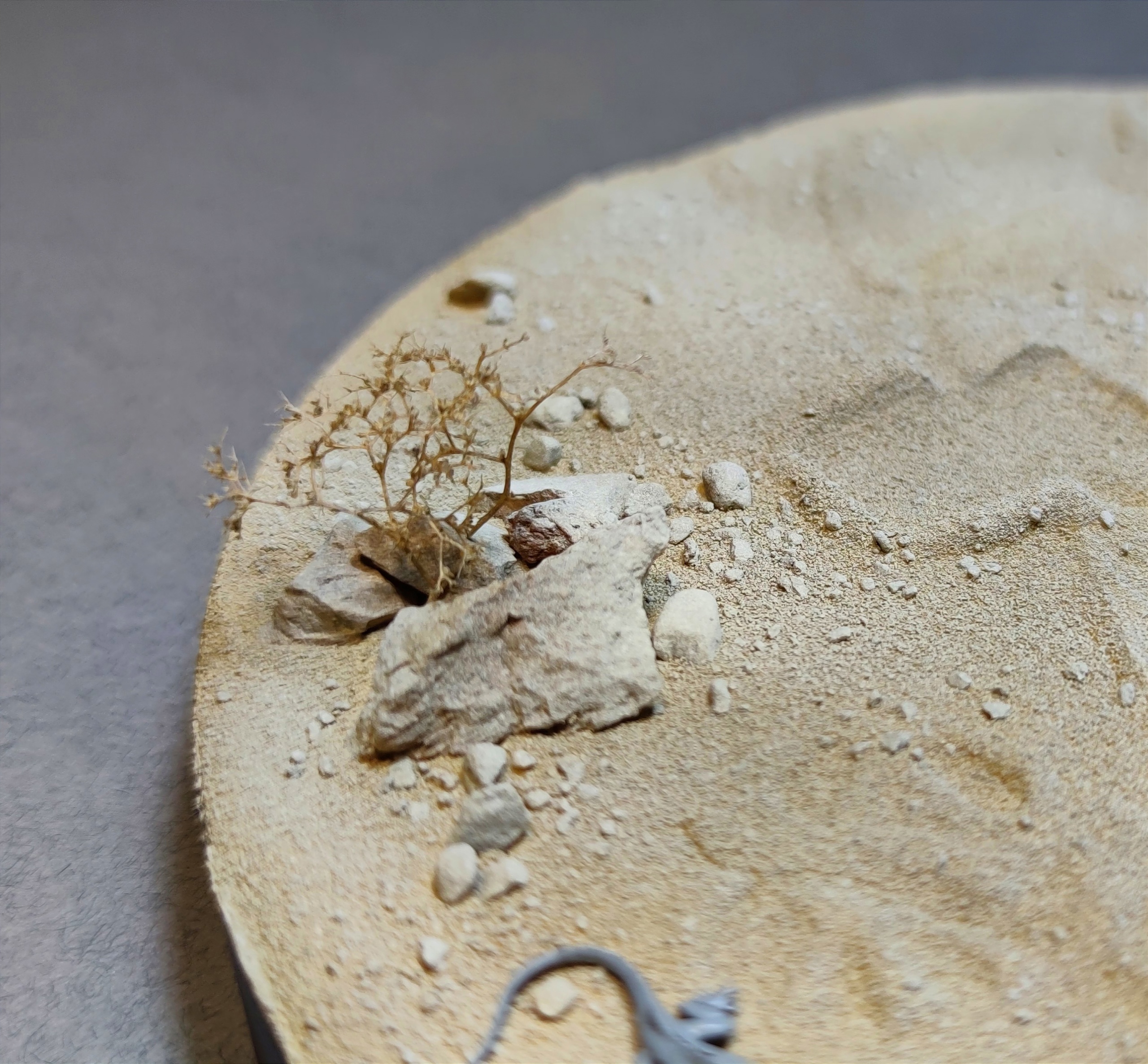 AM35553 Подставка авторская на дереве Ку35