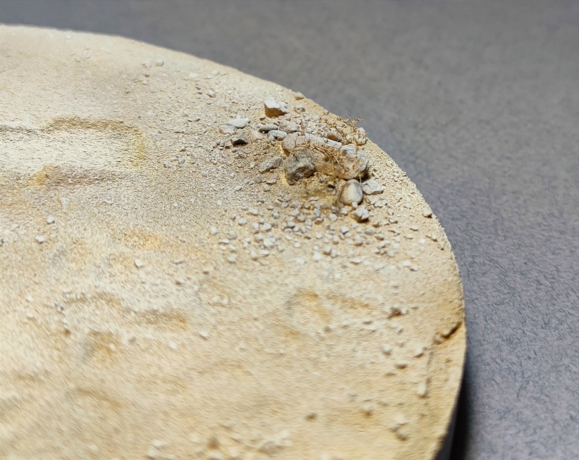 AM35553 Подставка авторская на дереве Ку35