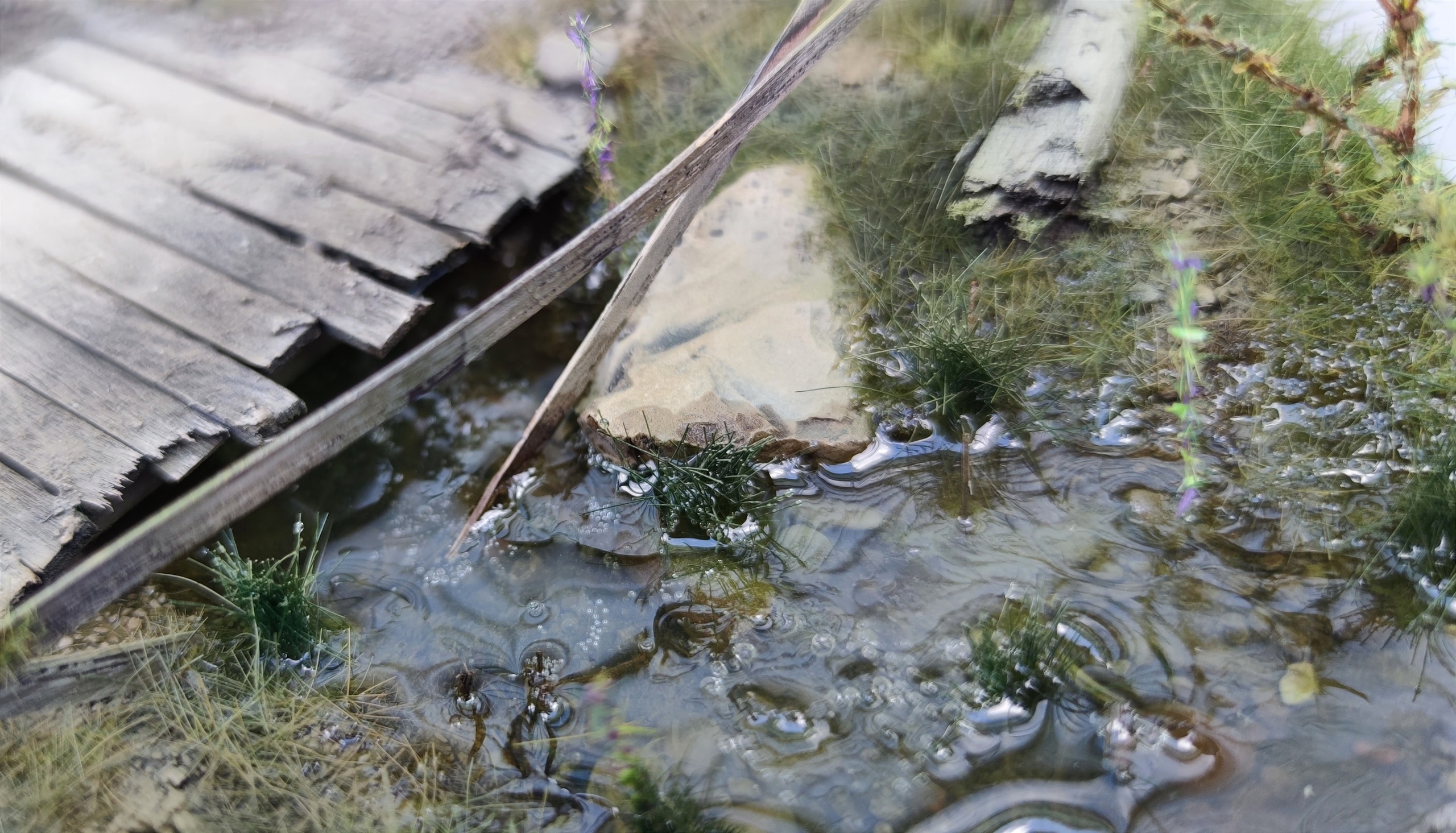 AM35592 Подставка авторская ручной работы "Мостик и ручей"