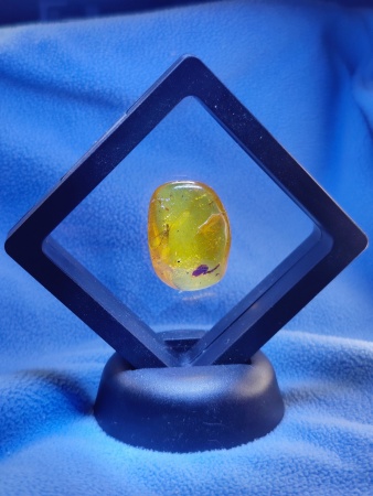 AAM0016 Янтарь с инклюзами «Термит»