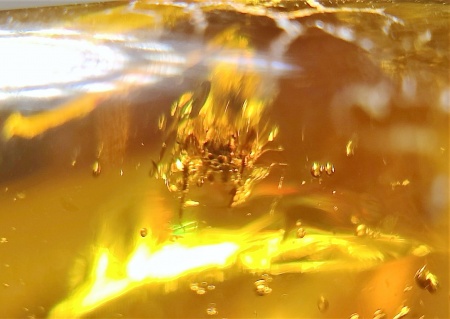 AAM0007 Янтарь с многочисленными инклюзами «Паучье логово». 6 пауков и другие насекомые в большом красивом камне.