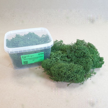 5705 мох стабилизированный - 30 г - темно-оливковый