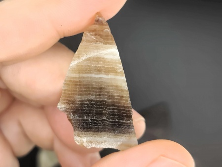 AAM0030 Окаменелое дерево с замещением опалом, Приморье