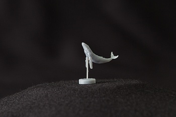 AM70000 Горбатый кит