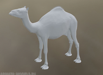 НЕ-72032 Верблюды (2шт)