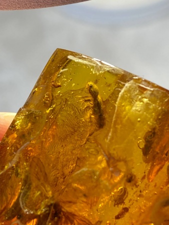 AAM0008 Янтарь с многочисленными инклюзами «Зоопарк». Вес камня 72 грамма!