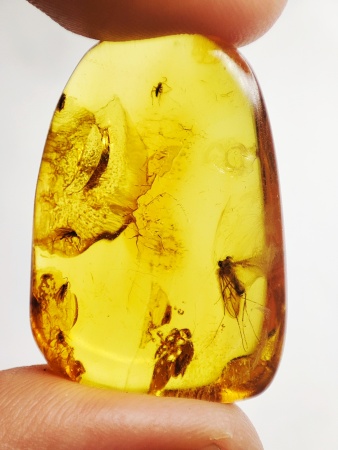 AAM0015 Янтарь с многочисленными инклюзами  «Муха Зеленуха»