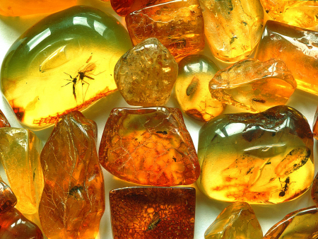 AAM0003 Янтарь c очень редкими инклюзами