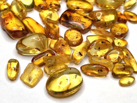 AAM0025 Янтарь с инклюзом Коллекция на ладони