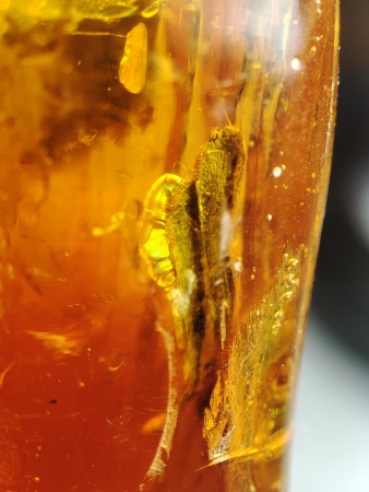 AAM0019 Янтарь с инклюзом "Два листика"