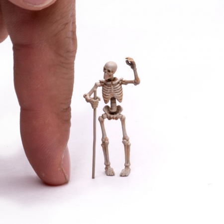 S205MWP Скелеты, размер S, 2шт MiniWarPaint