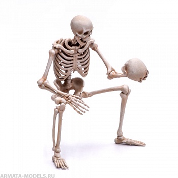 S208MWP Скелет, размер L S208MWP Скелет, размер L