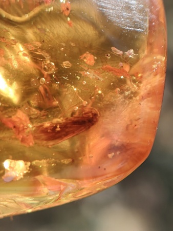 AAM0013 Янтарь с инклюзом «У ручья». Вес 14 грамм, 2 ручейника, 4 комара, тля, колемболла и бутон цветка! 