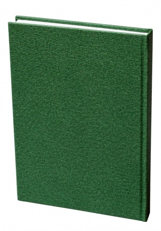 STFLFL04ST Запретные Земли: Руководство ведущего