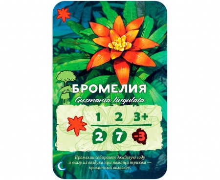 915464HW Амазония