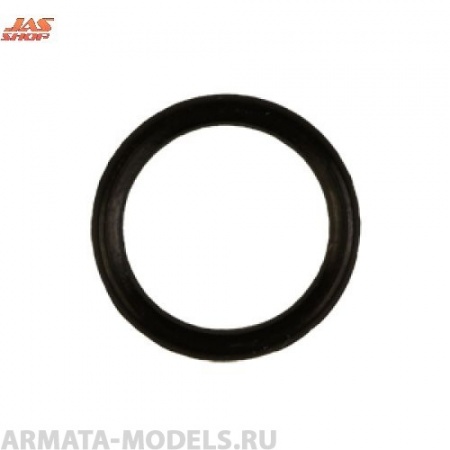 5074 Прокладка корпуса распылителя