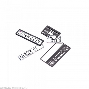 S-248 Номерные знаки РФ 2019-н/в , размер L