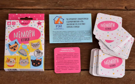 ТК001FI Мемори Котики