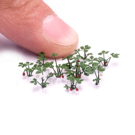 S250MWP Клубника, размер М