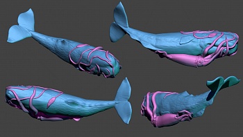 AM35006 Кальмар атакующий Кашалота 1/350 AM35006 Кальмар атакующий Кашалота 1/350