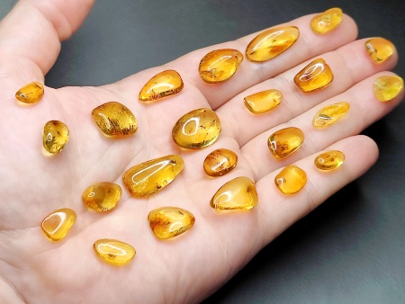 AAM0025 Янтарь с инклюзом Коллекция на ладони