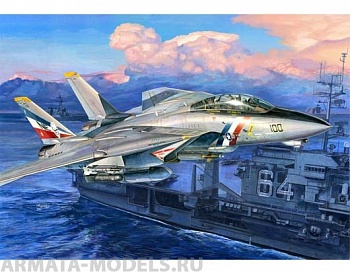 03203P Grumman F-14D Super Tomcat