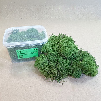 5704 мох стабилизированный - 30 г - кленовый зеленый