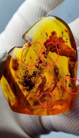 AAM0007 Янтарь с многочисленными инклюзами «Паучье логово». 6 пауков и другие насекомые в большом красивом камне.