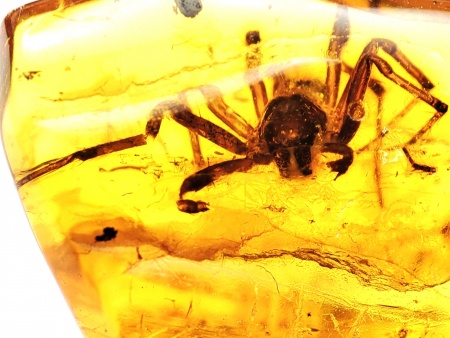 AAM0025 Янтарь с инклюзом Коллекция на ладони