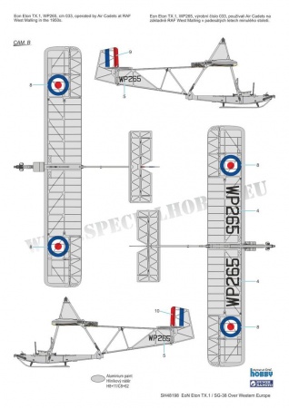 SH48198 EoN Eton TX.1/ SG-38 Over Western Europe Special Hobby