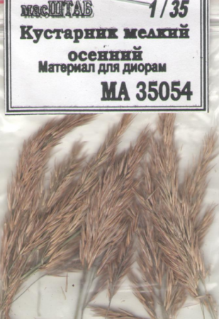 35054 Кустарник мелкий осенний