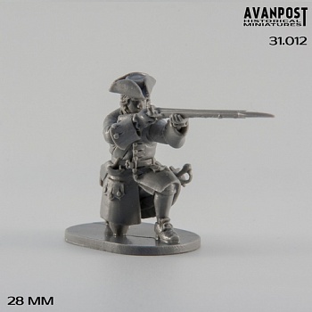 31.012АП Мушкетёр