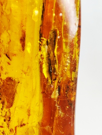 AAM0019 Янтарь с инклюзом "Два листика"