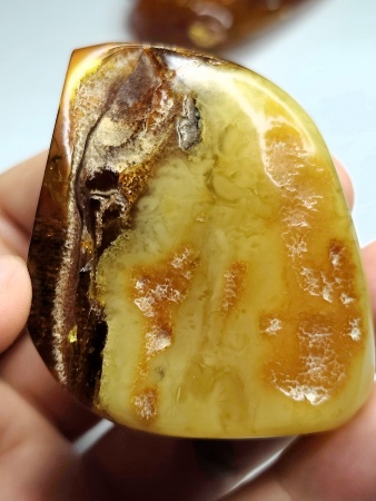 AAM0018 Янтарь с инклюзом Macrochile baltica «Луна и Солнце»