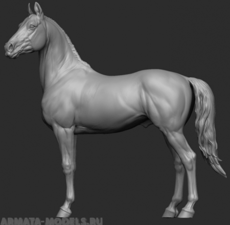 CHM-54193. Животные: Лошадь №13(54). 54 мм. Материал - смола. Chronos Miniatures