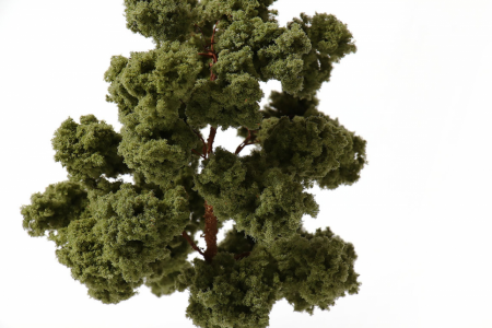 001pp008 Фолиаж. Листва дуба