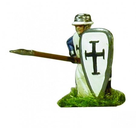 8016 Ливонские рыцари Звезда