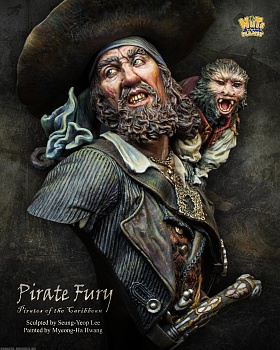 NP-B019 Pirate Fury