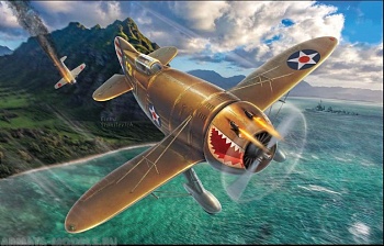 DW48010 Самолет P-45B Bee Killer