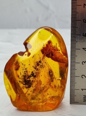 AAM0007 Янтарь с многочисленными инклюзами «Паучье логово». 6 пауков и другие насекомые в большом красивом камне.