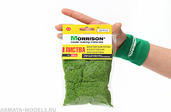 001pp010 Фолиаж. Городское озеленение