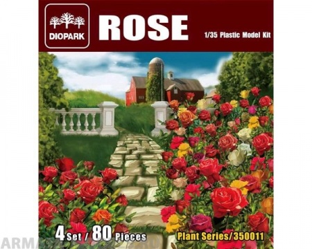 DP35011 Rose Diopark