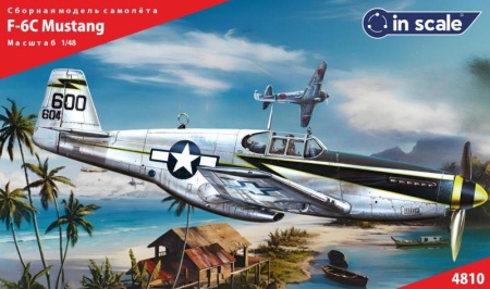 4810 F-6C Mustang - разведчик USAAC InScale