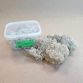 5710 мох стабилизированный - 30 г - весенне-зеленый крайола