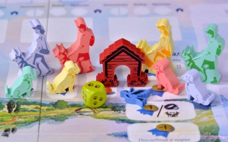 915537HW Прогулки с собаками