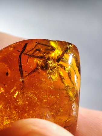 AAM0017 Янтарь с инклюзом «Тройная редкость»