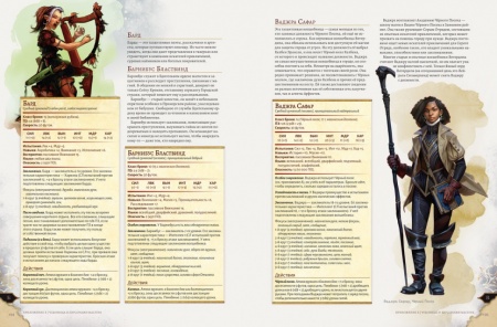 73619-RHW Dungeons & Dragons: Вотердип Драконий куш